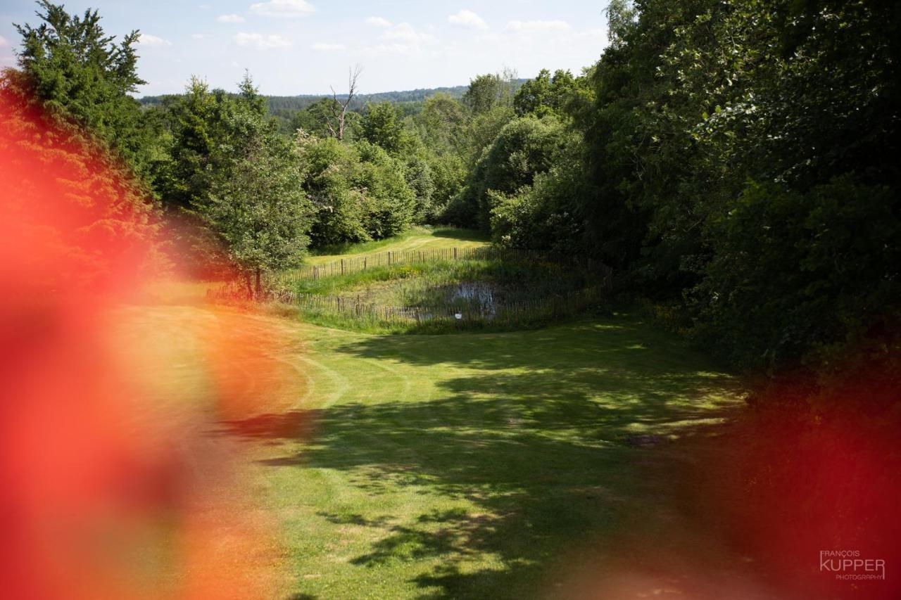 Le Bonheur De La Cascade 24 Pers - Malmedy, Wellness, Jardin, Confort Exterior foto